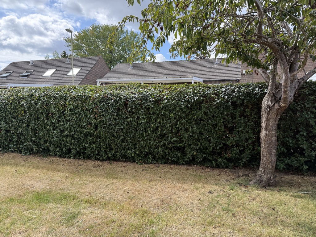 Lot: 96 - GROUND FLOOR ONE-BEDROOM RETIREMENT FLAT - View to communal area outside flat